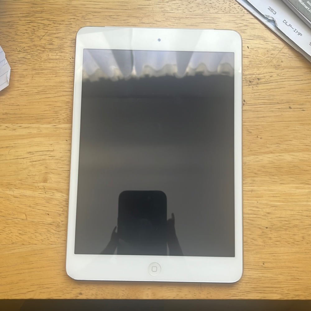 iPad Mini 2